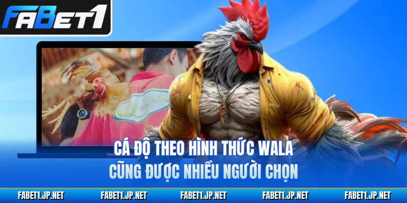 Cá độ theo hình thức WALA cũng được nhiều người chọn