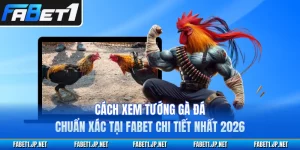 Cách Xem Tướng Gà Đá Chuẩn Xác Tại FABET Chi Tiết Nhất 2026