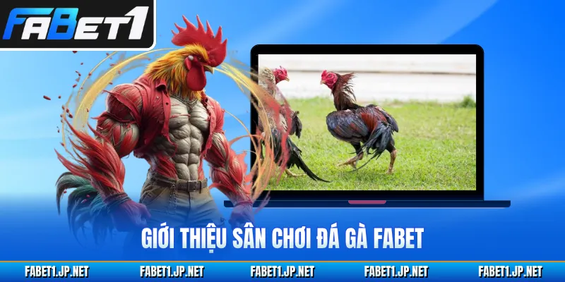 Giới thiệu sân chơi đá gà FABET