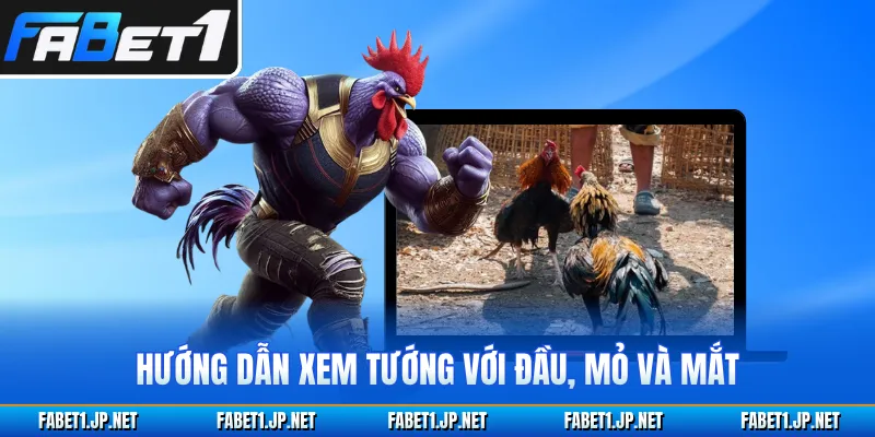 Hướng dẫn xem tướng với đầu, mỏ và mắt