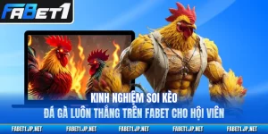 Kinh Nghiệm Soi Kèo Đá Gà FABET Luôn Thắng Cho Hội Viên