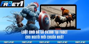 Luật Chơi Đá Gà Sv388 Tại FABET Cho Người Mới Chuẩn Nhất