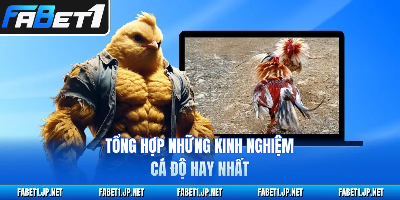 Tổng hợp những kinh nghiệm cá độ hay nhất