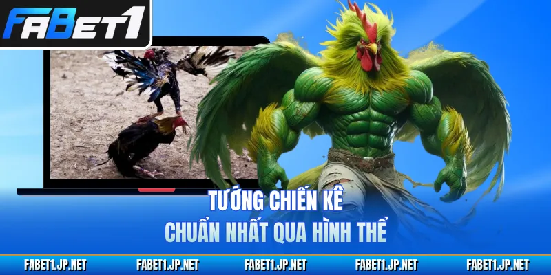 Tướng chiến kê chuẩn nhất qua hình thể